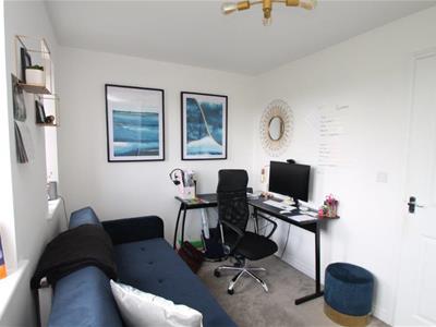 Picture 7